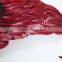 Rose Red Goose Feather Angel Wing And Rooster Feather Angel Wings For Halloween Angel Wings Decorations