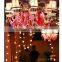 LED String Lights Copper Wire Lights, Waterproof Starry String Lights