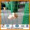 Merry Christmas!pvc coated holland wire mesh/ holland fence/pvc coated welded wire mesh(exporter &factory )
