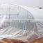 Single-span Greenhouse for Vegetables, Plastic Greenhouse, Tunnel