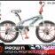 2016 Saudi 20" bmx bike/fat tire bicycle/all kinds of price bmx bicycle for sale (PW-FS20313)