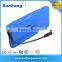 High Discharge Rate Battery 1.2V 2.4V 12V 24V Low Self Discharge Battery Pack