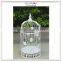 Hot selling cage bird wholesale decorative bird cages wedding                        
                                                Quality Choice