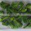 Healthy Food Snack - VF Dried Brocoli Crisps on good sale