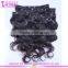 Brazilian Body Wave Double Weft Hair Extension Human Clip In Hair Extensions