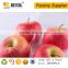Disposable Blister Clear Customized fresh 4pcs peach fruit packaging