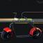 800W citycoco electric scooter motorcycle hot sale