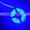 12V LED strip light SMD 5050 STRIP LED LIGHT