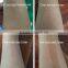 Cosmetic Laser Hair Removal Tatoo Removal Machine for Beauty Spa and Laser Clinic