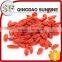 Kosher certificate good price goji ningxia dried goji berry for sale