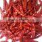 Exporters of Hot Teja Chilli