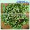 Wholesale fresh flowers preserved flowers from china home decor preserved hydrangea