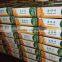 China shine skin pumpkin seeds kernels