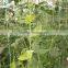 5M x 2M Gardening Plant Support Net