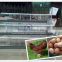Galvanized Semi automatic A type 3tiers Africa Farm Iron Wire Layer Chicken Cage