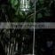 Plastic Hanging Solar Lantern Landscape Deco Pathway Light