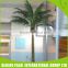 Artificial Coconut Palm Tree,palmeira artificial