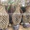 Lagerstroemia Indica Tree Different Shape Packing and Loading