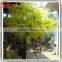 Fiber glass model tree factory wholesale Artificial decorative tree stumps To Canada