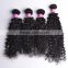 Malaysian Water Wave Human Hair Extensions Virgin Malaysian Hair Weaves Natural Black Malaysian Hair 100g/pc 8-30 inch