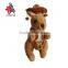 OEM bone plush toys, stuffed bone plush toy Pet toys