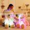 2017 HI CE hot selling glow toys, light up teddy bear plush toy for china factory