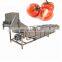 SUS304 stawberrty apple fruit washing cleaning equipment/Bubble lefty vegetable washing equipment