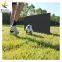 soccer rebounder board 1000x400mm