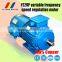 132kw 2 pole YVP series frequency variable motor