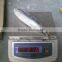 400-600G Pacific Mackerel Latin Name Scomber Japonicus