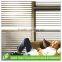 Fashion Latest Designs Adjustable Factory Wholesale Zebra Blind Curtain Fabric