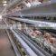 High quality new design chicken egg cage for layers