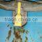 12 gauge electro galvanized wire/galvanized iron wire