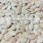 bulk vegetable seeds china shine skin pumpkin seeds grade a