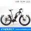 ebike fat bicicletas mountain bike electrical bicycle