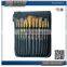 12 Pieces Paint Brush Definition