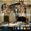 BY-DY-042004 Exibithion Life Size Artificial Dinosaurs Skeleton For Sale
