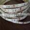 Chines factory supply DC12V 30LEDS/M LED strip light led UV strip.led flexible light SMD5050