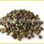 Coffee beans S13
