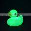Electronic duck lamp automatic color changed night light LED light