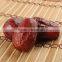 chinese Xinjiang dried dates Hetian jujube hetian dates