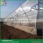 Arch roof type poly carbonate greenhouse commercial greenhouses for sale