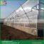 12m height Venlo roof type poly carbonate greenhouse small greenhouse