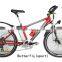 fashion style 36v 250w electrical mountain bike
