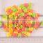 SK-G096 bulk sale bubble gum