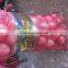 2015 New Crop of Fresh Onions Packing in Mesh Bag From China