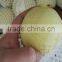 new crop thailand fruit farm ya pear