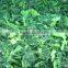 IQF chopped spinach/frozen spinach balls/
