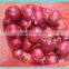 Fresh Red Onion for sale