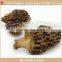 Wild Organic Dried Morchella Esculenta Mushroom